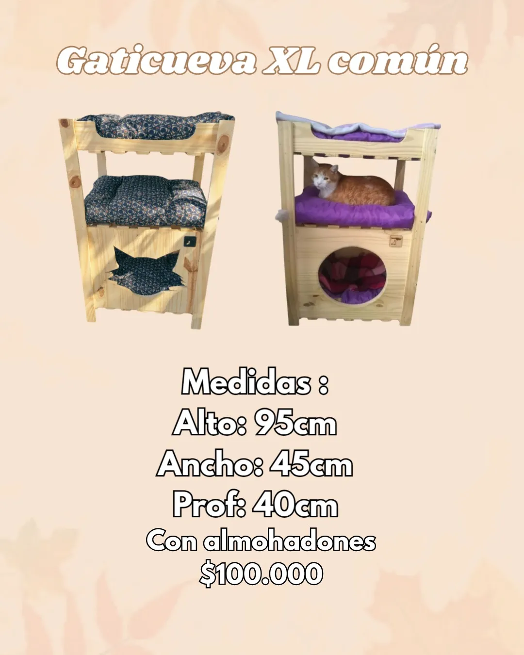Gaticueva XL Común para gatos – El Shopping de los Bigotes